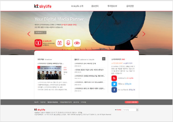 SkyLife 기업 홈페이지